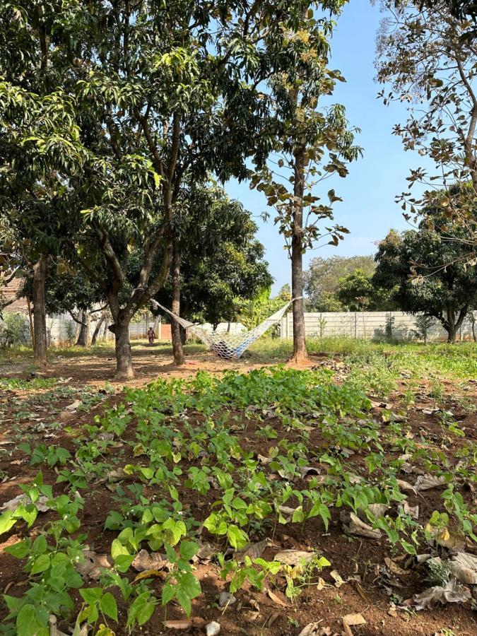 Rustic Village Farmhouse Bengaluru Kültér fotó